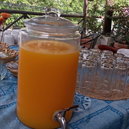 Mio Tulum Hotel Boutique Exterior photo A glass dispenser of freshly squeezed orange juice